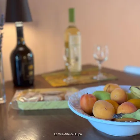 Holiday home La Arte Del Lupo-two Birds Castelluccio (Arezzo)