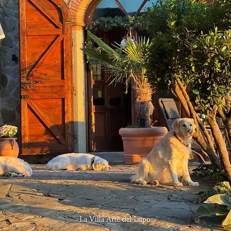 Feriehus La Arte Del Lupo-two Birds